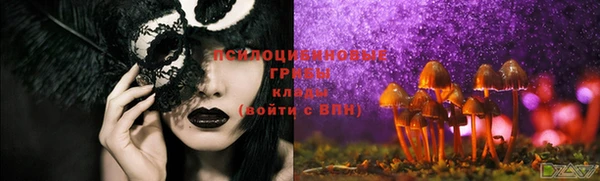 спайс Карталы