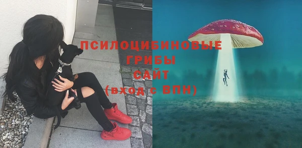 соль курить ск Касимов