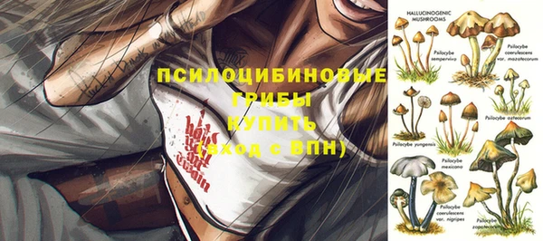 спайс Карталы