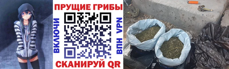 Галлюциногенные грибы Psilocybe  Купить где  Балашиха 